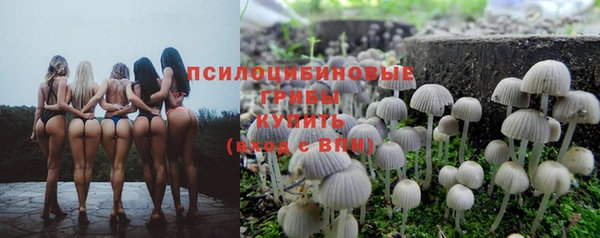 гашик Семёнов