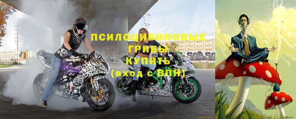 таблы Алзамай
