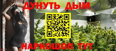 a pvp Бердск