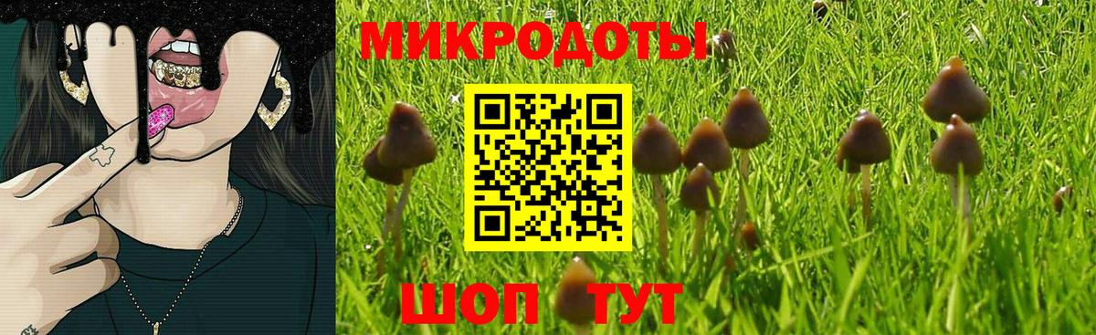 Галлюциногенные грибы Magic Shrooms Воткинск