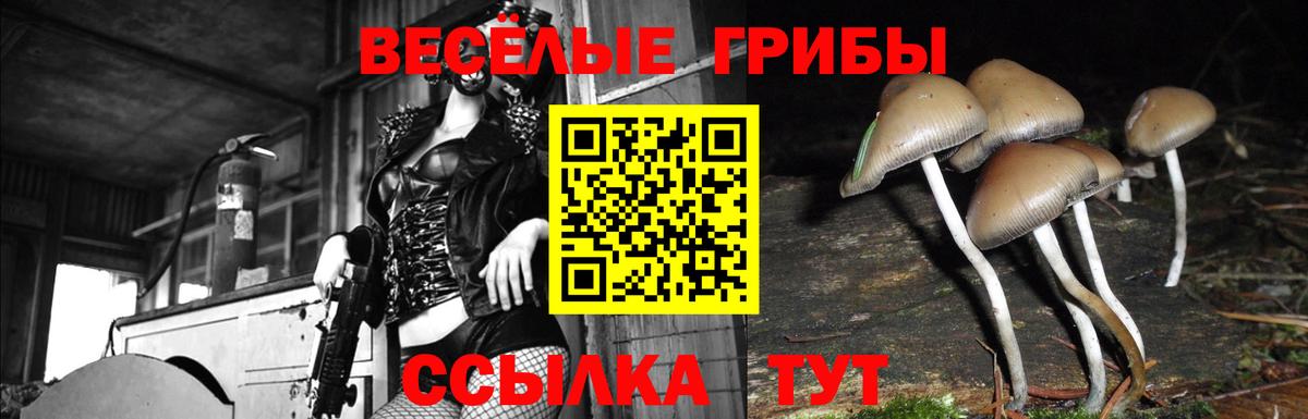 Псилоцибиновые грибы GOLDEN TEACHER  Псилоцибиновые грибы ЛСД  Воткинск  Вход с VPN 